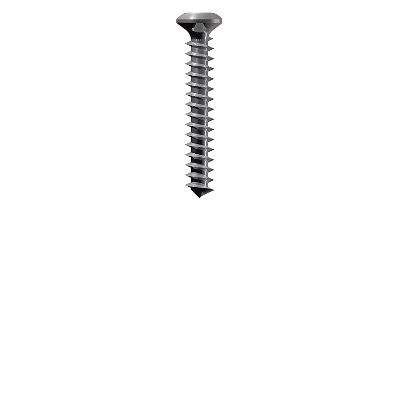 Micro-screw